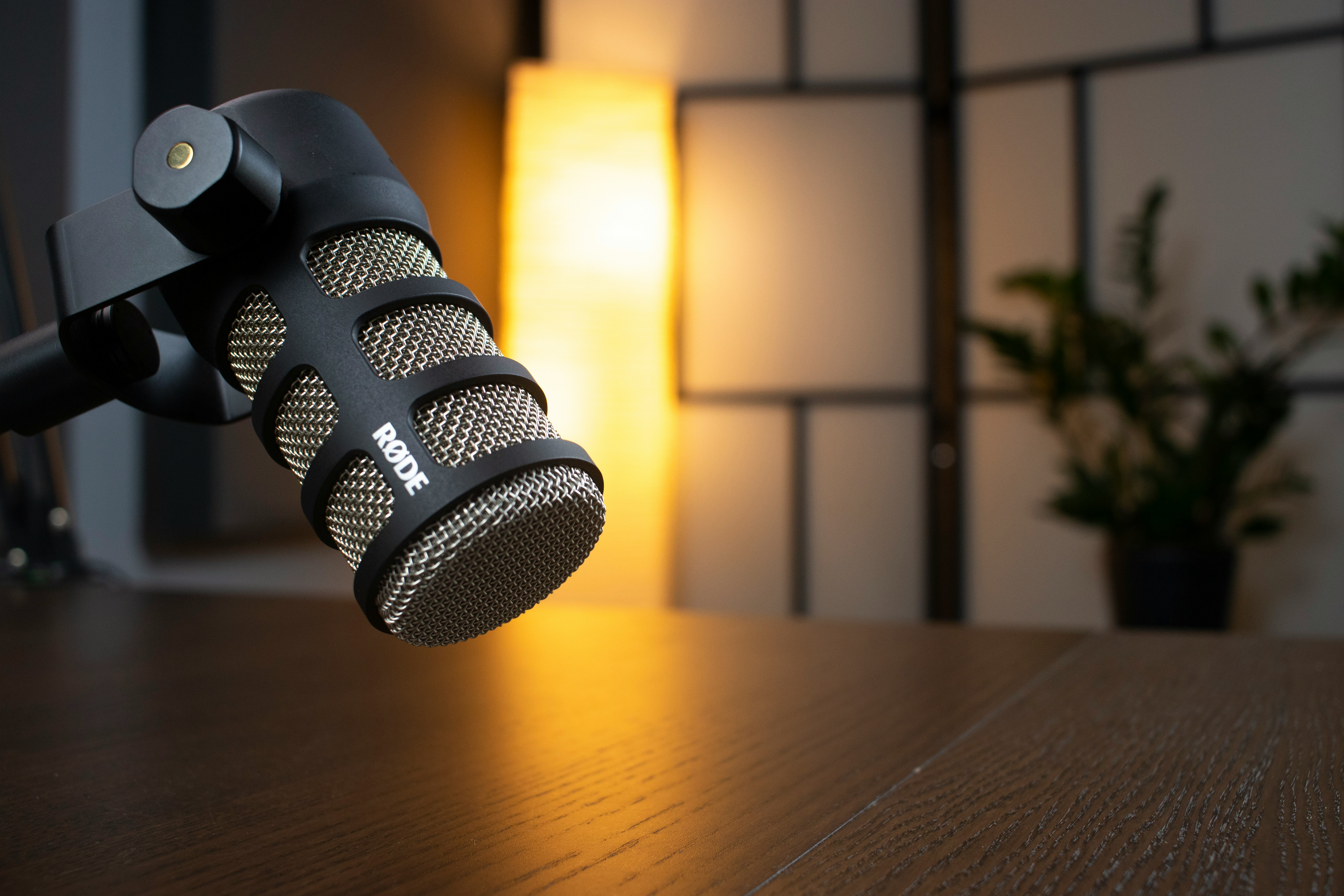 Dlxmedia Hu Lssptx8ql M Unsplash